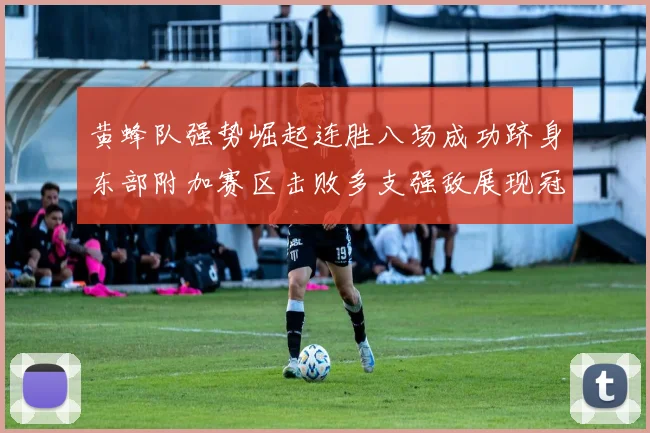 黄蜂队强势崛起连胜八场成功跻身东部附加赛区击败多支强敌展现冠军潜力
